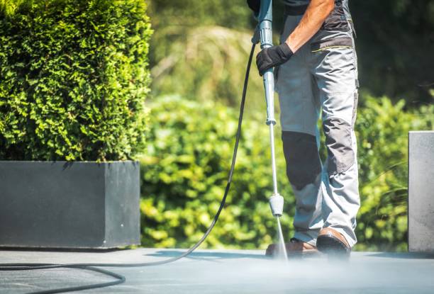 Best Patio and Deck Pressure Washing  in Lake City, IA