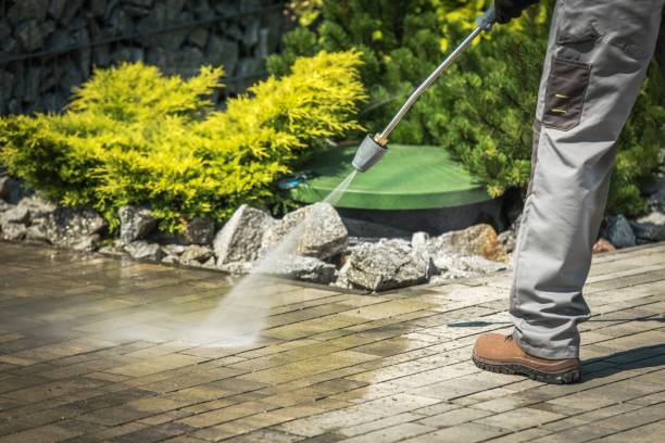 Animal Enclosure Cleaning in Lake City, IA