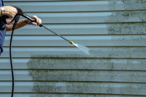 Best Gutter Cleaning  in Lake City, IA